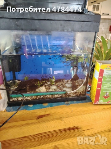 Аквариум 22 литра