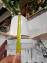 Нов Смарт Вентилатор за таван с LED лафон и Дистанционно (60см), снимка 6