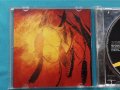 Dreamtide – 2001 - Here Comes The Flood(CD-Maximum – CDM 1001-729)(Arena Rock), снимка 2