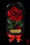 Вечна роза в ГОЛЯМА стъкленица - Оригинален подарък за жена / Уникален Подарък за Годишнина, снимка 4
