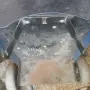 Телоподаващо 220а, снимка 4