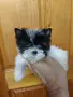 Бивер йорк, дребно момиче., снимка 2