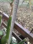 Картуни различни видове и размери , снимка 5