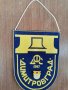 Флагче със значка ДФС Димитровград , снимка 1 - Колекции - 29336756