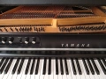 Grand Yamaha CP 70B, снимка 3