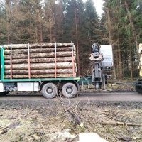 Ман 6х6 за дърва, снимка 11 - Камиони - 40270976