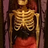 Halloween: Кукла скелет , снимка 3 - Кукли - 31273638