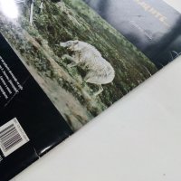 National Geographic:Очи в очи с Вълците - Джим и Джуди Бранденбург, снимка 7 - Списания и комикси - 38925989
