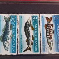 Пощенски марки  смесени серий поща България стари редки от соца за колекция декорация 29293, снимка 7 - Филателия - 37712292