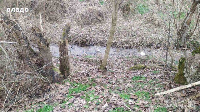 Осиково дворно място с къща, снимка 11 - Къщи - 35534250