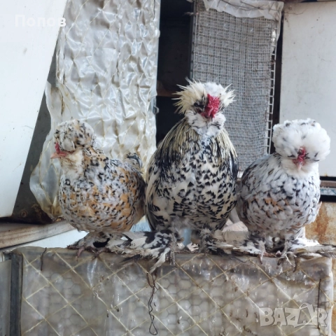 Продавам джинки