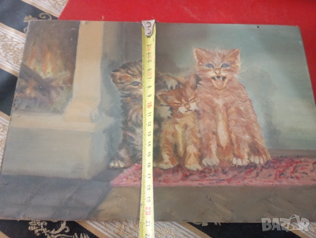 Картина- котета, снимка 6 - Картини - 54075931