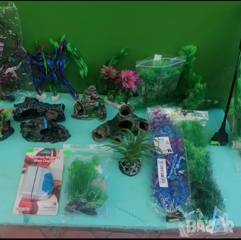 Продавам аквариуми риби аксесоари, снимка 4 - Аквариуми - 47433173