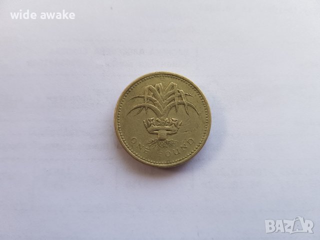 Монета 1 паунд