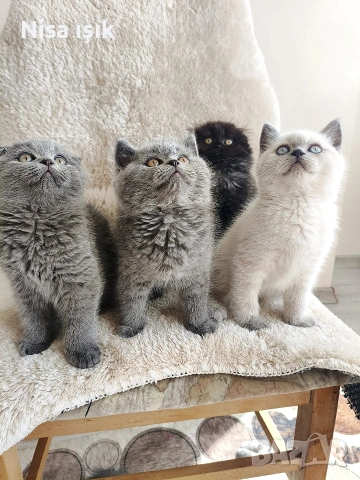 качество не е случайно кои ръчички ще не стоплят