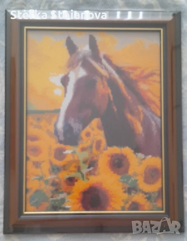 Диамантени картини с рамка, снимка 5 - Гоблени - 40164013