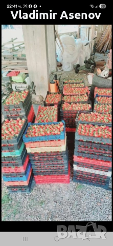 Ягоди, снимка 8 - Козметични уреди - 53940999