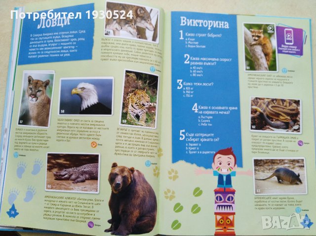 Колекционерски албум на Билла, снимка 8 - Колекции - 31797251