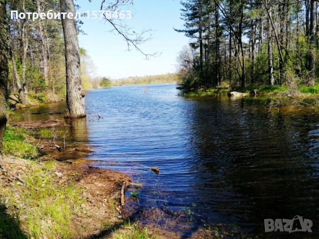 Продавам 120 декара-гори, снимка 6 - Земеделска земя - 52658500