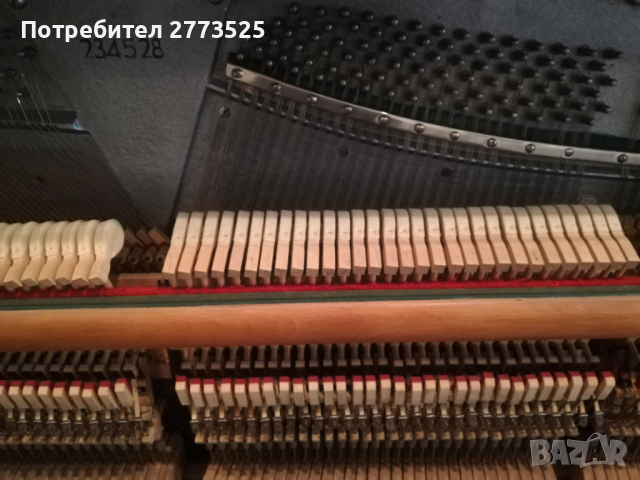 Пиана, рояли, арфи, акордеони - акордиране / настройване и ремонт, снимка 4 - Други услуги - 29723120
