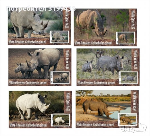 Чисти блокове Фауна Носорози Бял носорог  2019 от Тонго, снимка 1 - Филателия - 37686860