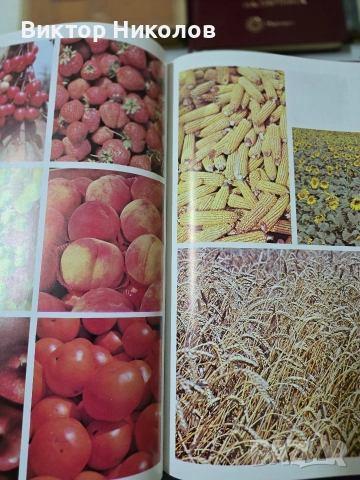 продавам книги, снимка 10 - Други - 53288989