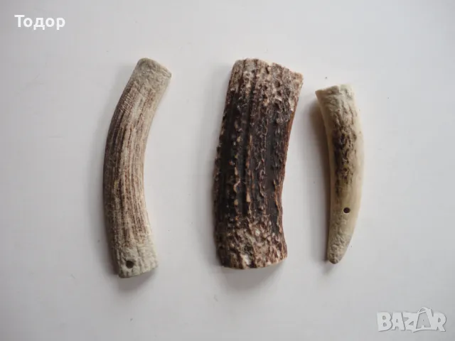 Рог рога 2, снимка 6 - Антикварни и старинни предмети - 50287884