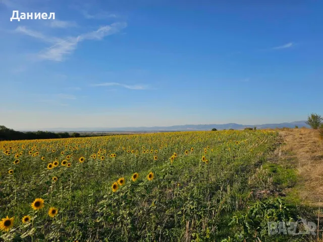 Парцел село Нови Хан, 8232 кв.м., снимка 1