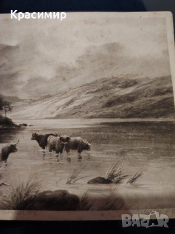 ПОЩЕНСКА Картичка Швейцария. , снимка 3 - Филателия - 52778234