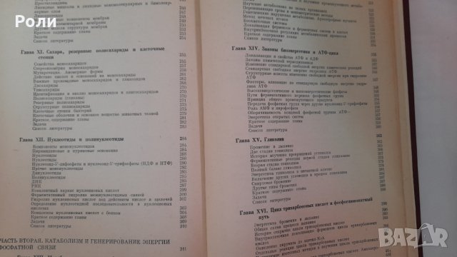БИОХИМИЯ А.ЛЕНИНДЖЪР Молекулярные основы структуры и функций клетки превод от английски, снимка 4 - Специализирана литература - 30918691