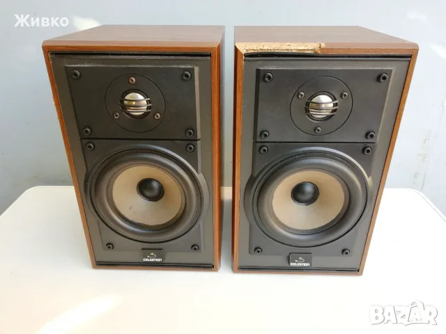 Тонколоно CELESTION 3