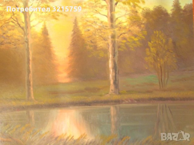 Картина -масло в/у картон, пейзаж ,60х40см., снимка 2 - Картини - 35262606