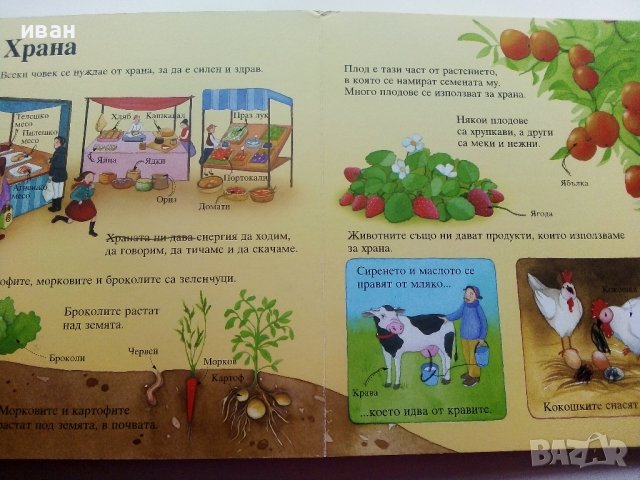 Моята първа картинна Енциклопедия - Издателство "Фют" - 2009г., снимка 5 - Детски книжки - 40039507