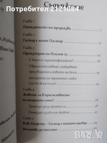 Господ нашият Пастир/ Свобода от похот- Красимир Мирчев , снимка 3 - Специализирана литература - 44792232