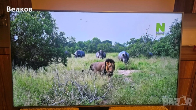 Samsung QE55Q67R - 55-инча, 4K Ultra HD QLED, снимка 13 - Телевизори - 53135369