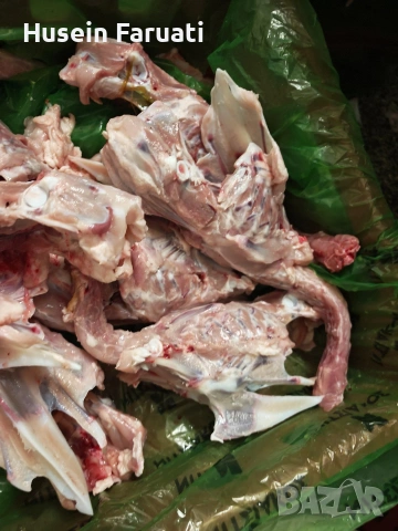 фенери за кучета