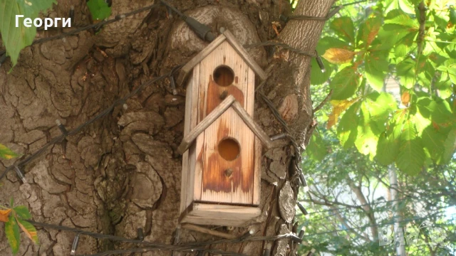 Дигитален фотоапарат Sony cyber-shot  T200, снимка 13 - Фотоапарати - 51390785