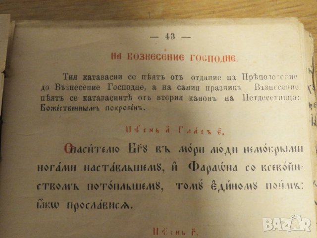 църковна книга, богослужебна книга Рядка книга Черковно пение, църковно пеене - изд.1906 г , снимка 12 - Антикварни и старинни предмети - 31813336