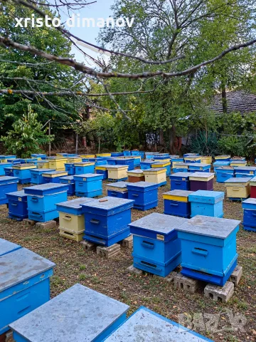 Продаван кошери Дадан-Блат 