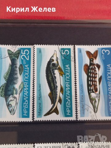 Пощенски марки  смесени серий поща България стари редки от соца за колекция декорация 29293, снимка 7 - Филателия - 37712292