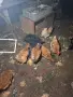 Продавам кокошки , снимка 1