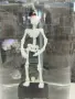 Танцуващ скелет, dancing skeleton за аквариум, снимка 4