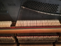 Пиана, рояли, арфи, акордеони - акордиране / настройване и ремонт, снимка 4