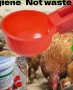Хранилки и поилки за кокошки, снимка 7