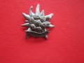 Голям тиролски ловен знак значка Еделвайс, снимка 4