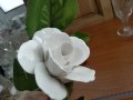 Порцеланова роза, снимка 4