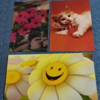 Три картички , снимка 1 - Други - 37891071