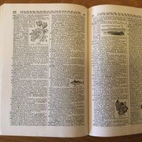 Funk & Wagnalls Standard Desk Dictionary 1936 г., снимка 8 - Чуждоезиково обучение, речници - 37032908