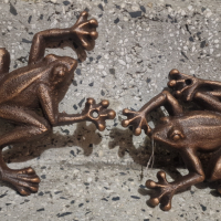 Лот масивни чугунени жаби, 660гр, снимка 1 - Градински мебели, декорация  - 31659252