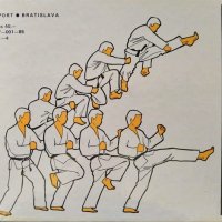 Karate. František Sebej 1985 г. Словашки език, снимка 5 - Други - 37275791